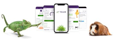 Banner-TELUS-app.jpg