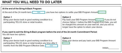 BIB Options.jpg