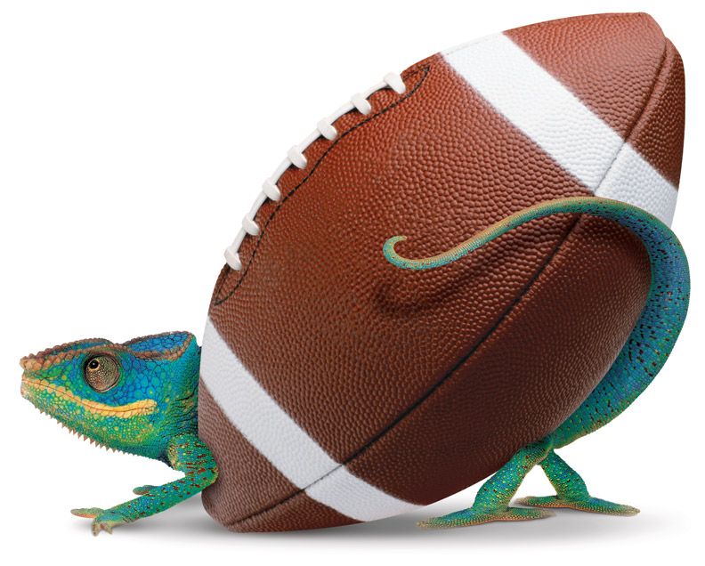 TBS-Chameleon-Football_14x11.eps.jpg