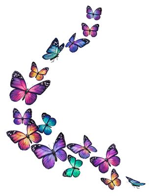 Butterflies_15_Cluster_Multicoled_BH_LR_RGB.jpg
