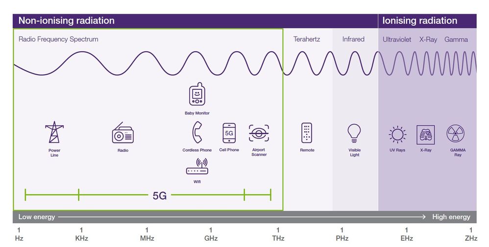 5G Safety Graphic.jpg