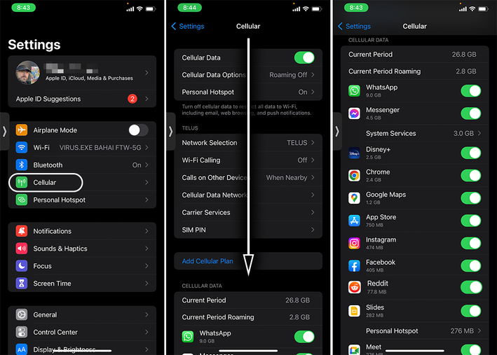 ios-cellulardata-panels2.png