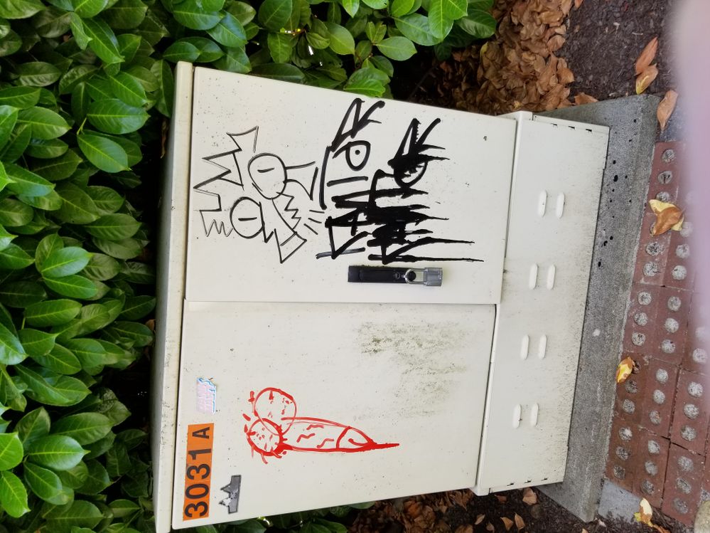 Graffiti - Telus box 3031A (Jul 29, 2023).jpg
