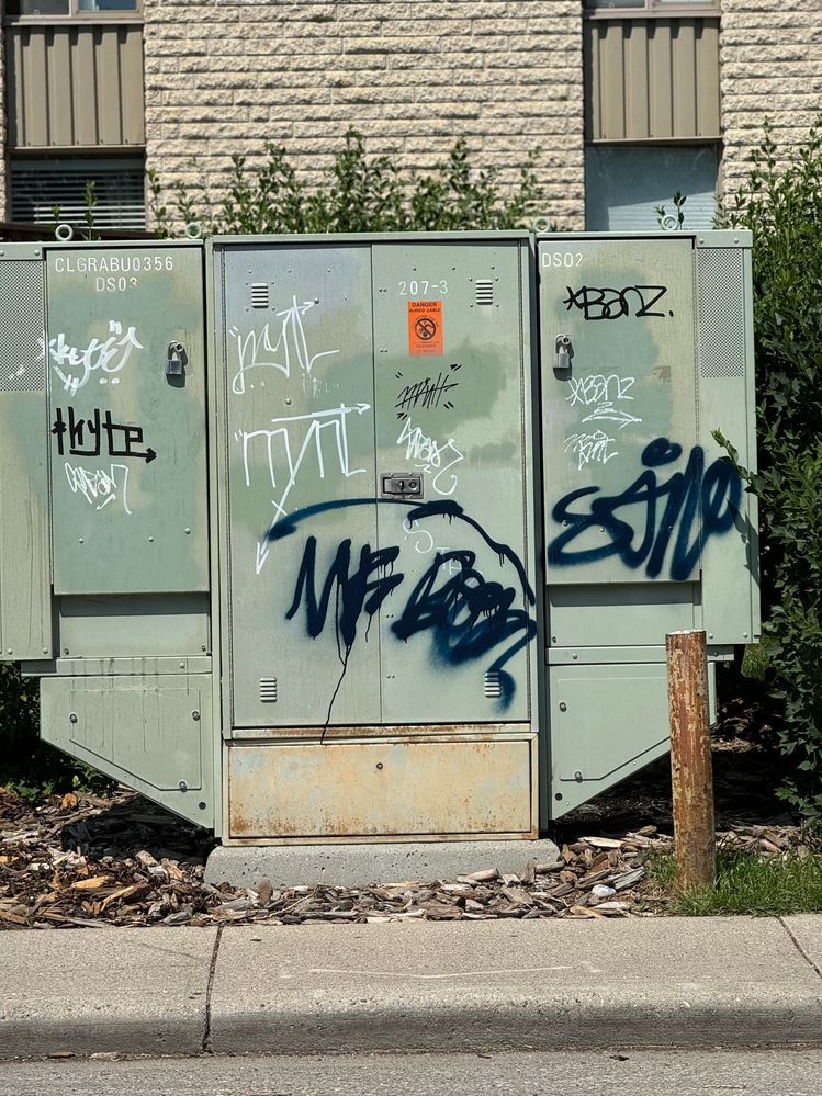 Utility Box Graffiti - close.jpg