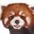 RyanB55's avatar