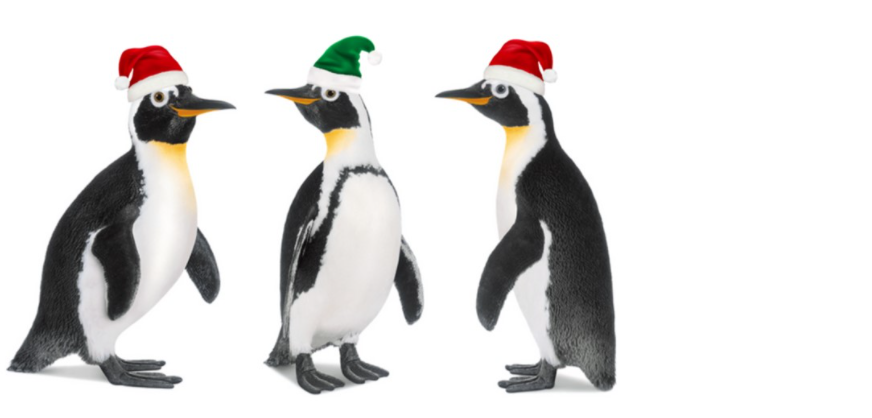 C_Fun_1-1638889552076.png C_Fun_1-1638889552076.png