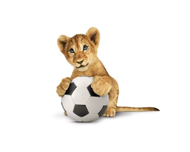 Soccer-Lion-Medium-V1.jpg